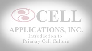 Cell Culture Protocols & Guidance